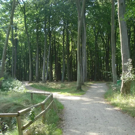 Lejlighed Anker Graal-Mueritz